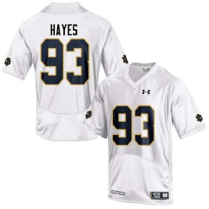 Mens University of Notre Dame #93 Jay Hayes White Game Official Jersey 145475-703